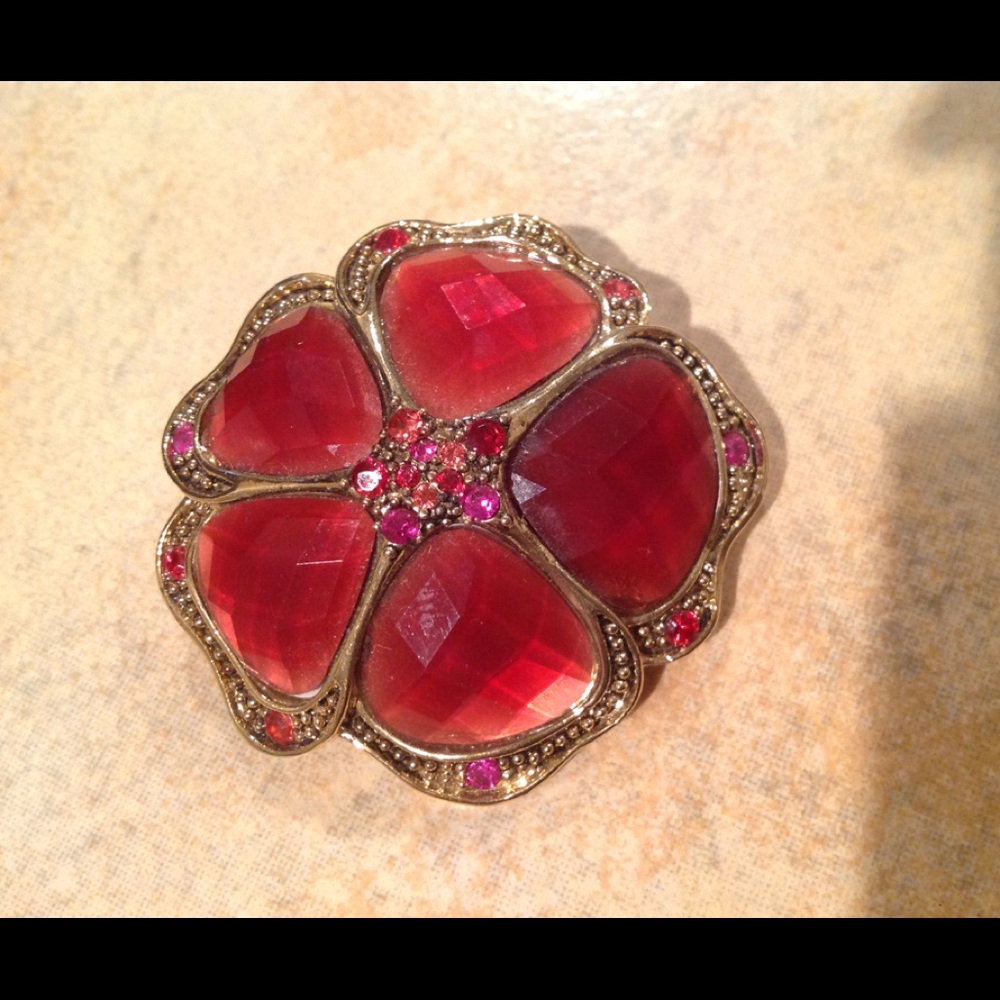 Stunning Brooch Vintage